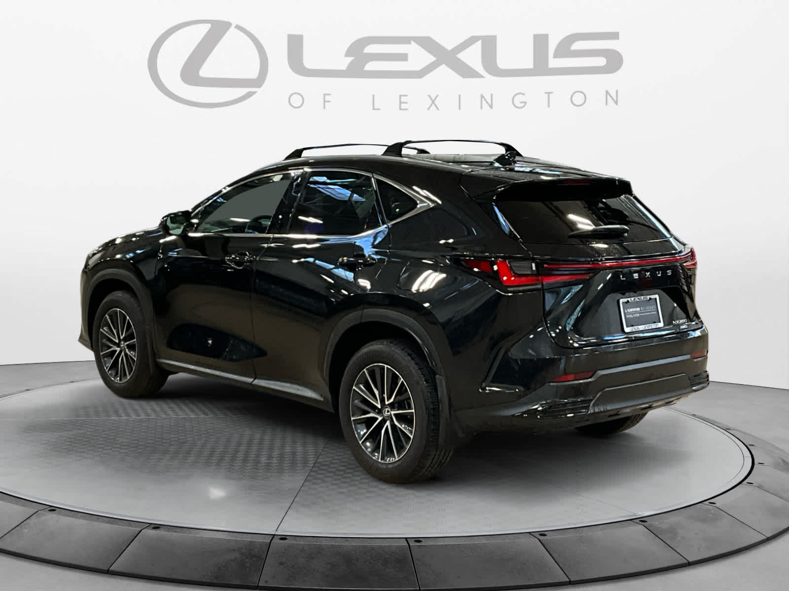 2025 Lexus NX 250 Premium