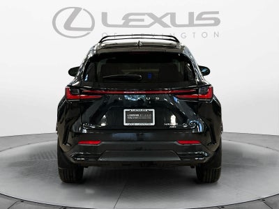 2025 Lexus NX 250 Premium