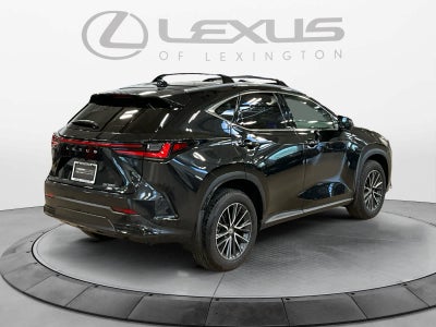 2025 Lexus NX 250 Premium