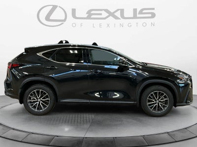 2025 Lexus NX 250 Premium