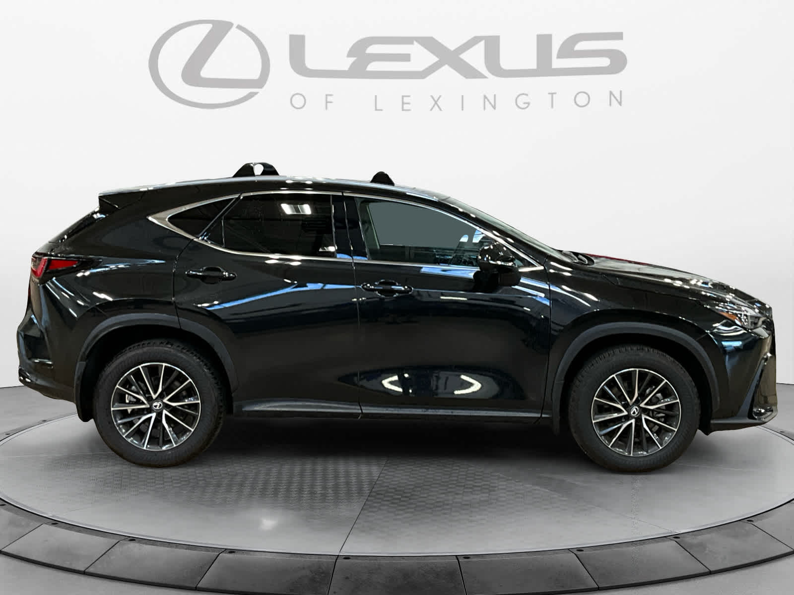 2025 Lexus NX 250 Premium