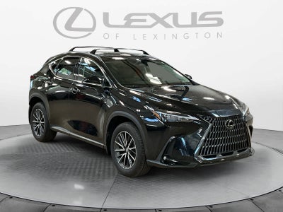 2025 Lexus NX 250 Premium