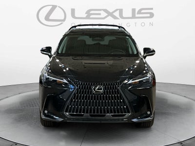 2025 Lexus NX 250 Premium