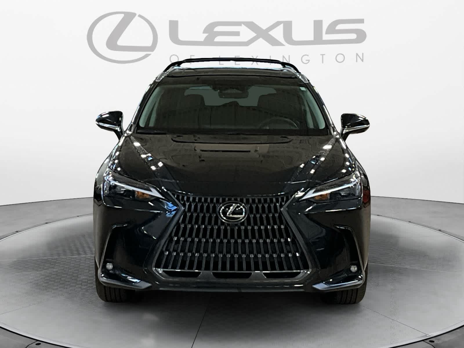 2025 Lexus NX 250 Premium