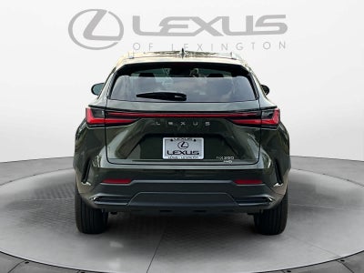 2026 Lexus NX 350 Premium