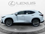 2026 Lexus NX 350 Premium