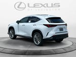2026 Lexus NX 350 Premium
