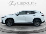 2026 Lexus NX 350 Premium