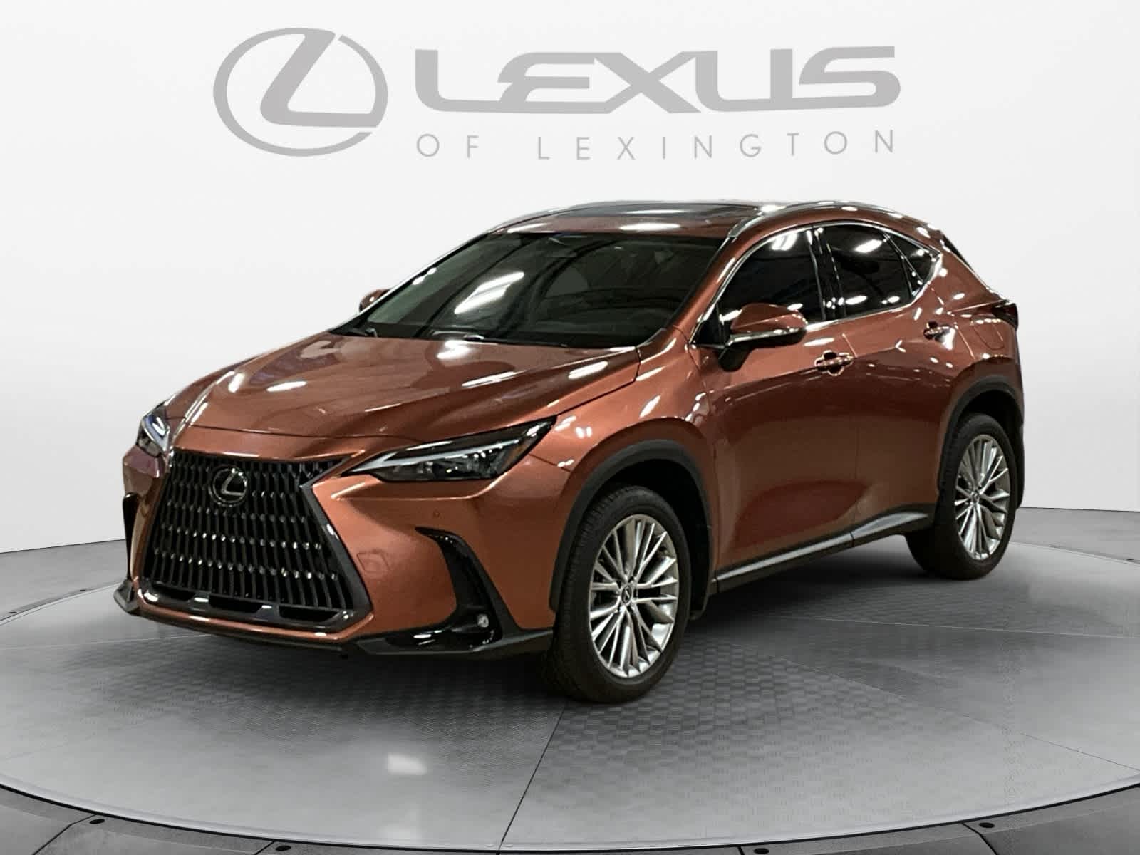 2025 Lexus NX 350 Premium