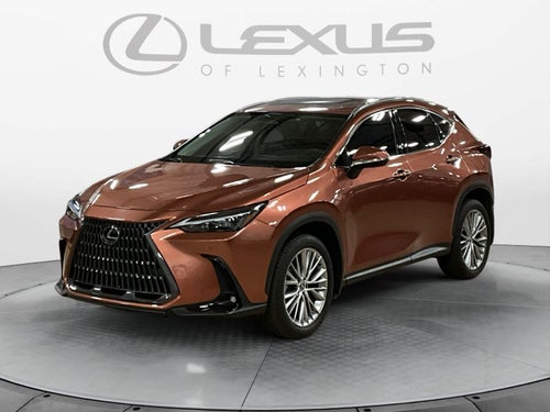 2025 Lexus NX 350 Premium
