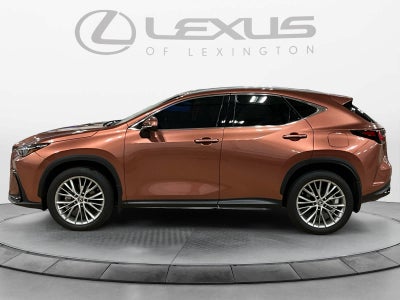 2025 Lexus NX 350 Premium
