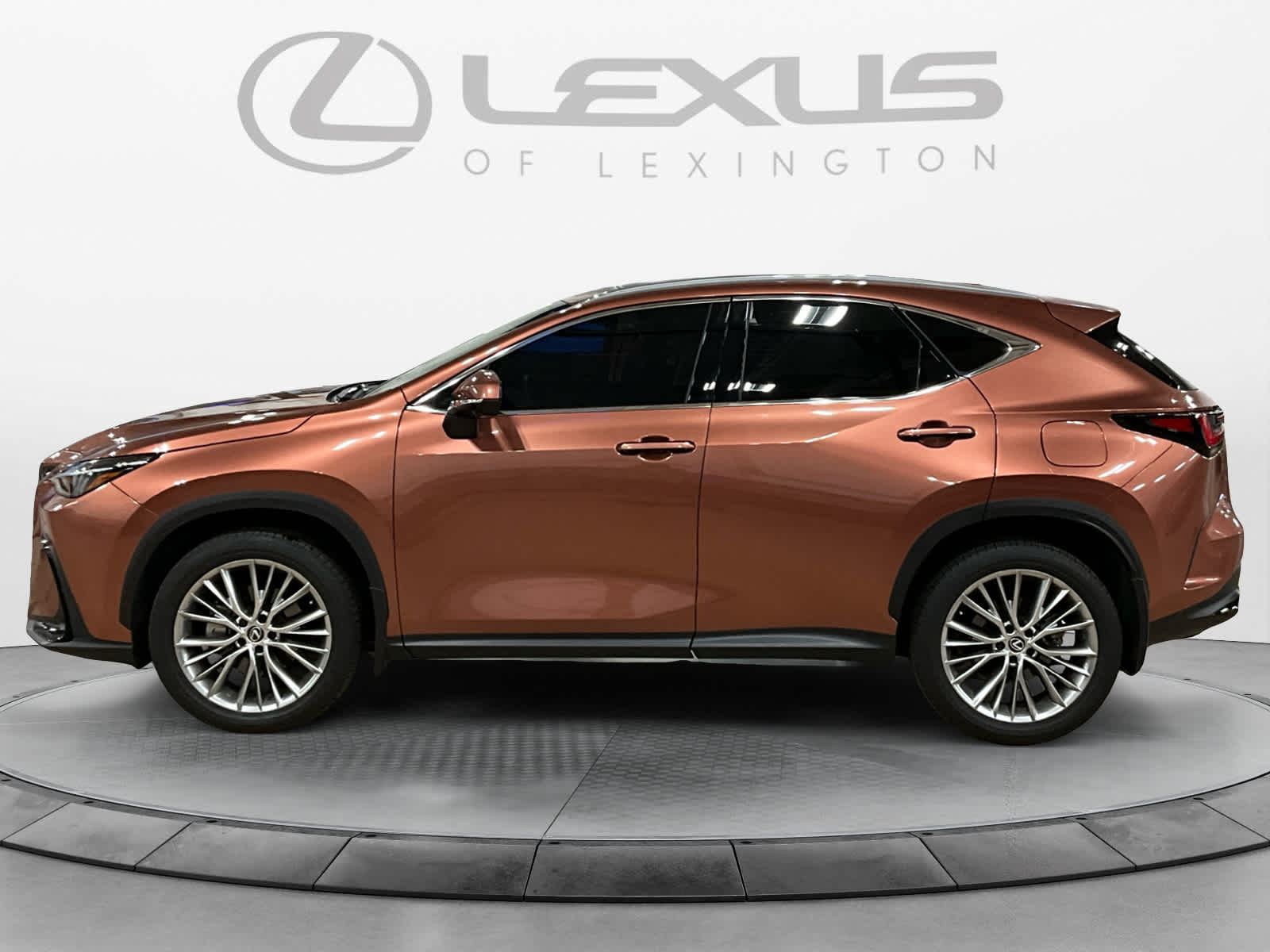 2025 Lexus NX 350 Premium