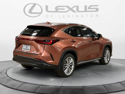 2025 Lexus NX 350 Premium