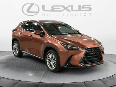 2025 Lexus NX 350 Premium