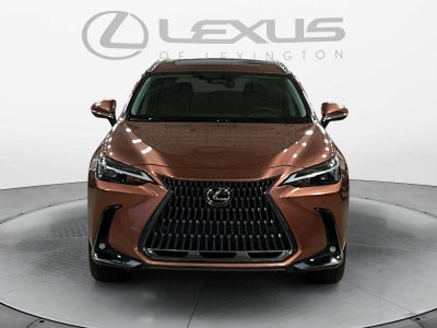 2025 Lexus NX 350 Premium