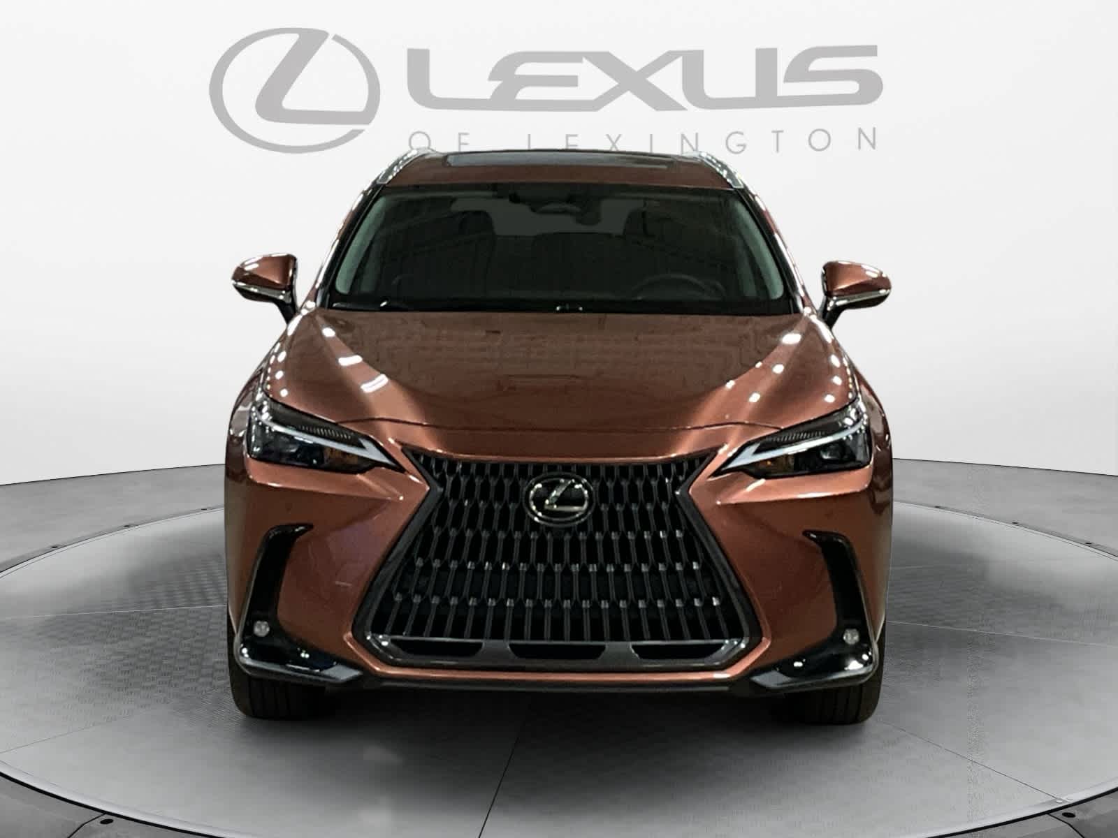 2025 Lexus NX 350 Premium