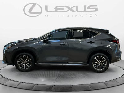 2025 Lexus NX 350 Premium