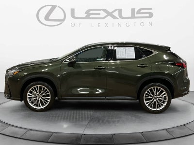 2026 Lexus NX 350 Premium