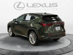 2026 Lexus NX 350 Premium