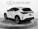 2026 Lexus NX 350 Premium