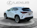 2026 Lexus NX 350 Premium