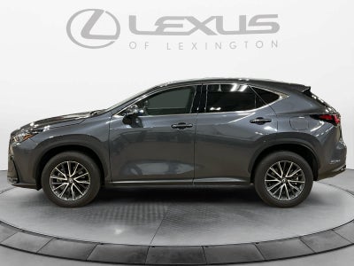 2024 Lexus NX 350 Premium