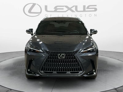 2024 Lexus NX 350 Premium
