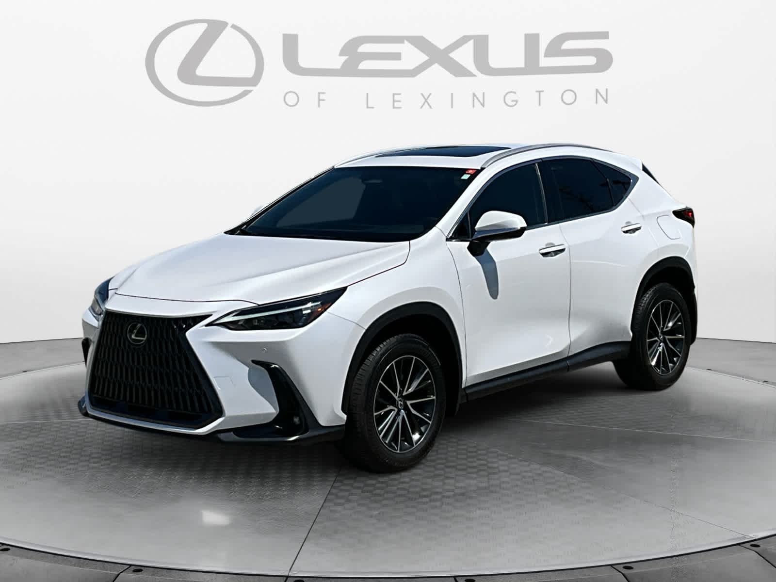 2024 Lexus NX 350 Premium