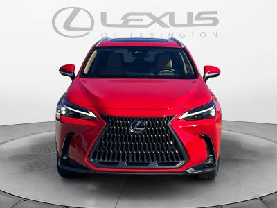 2025 Lexus NX 350 Premium