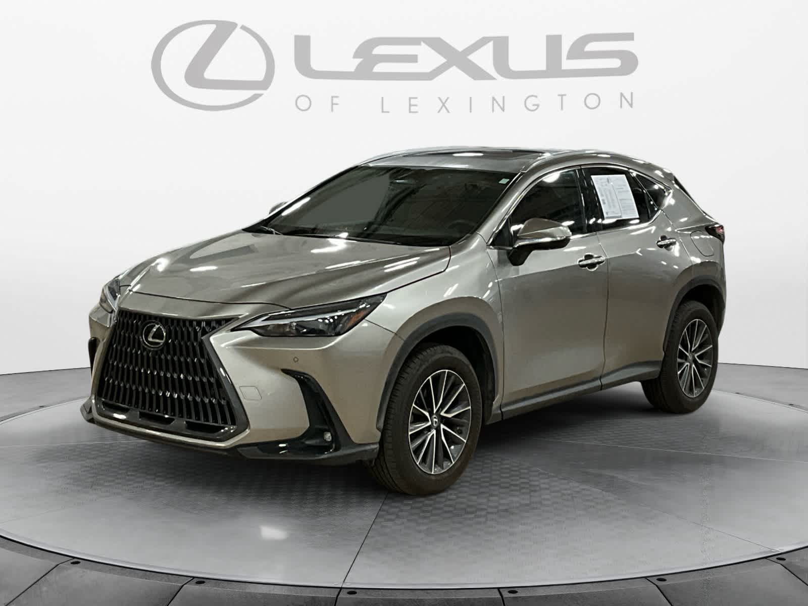 2025 Lexus NX 350 Premium