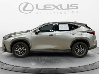 2025 Lexus NX 350 Premium