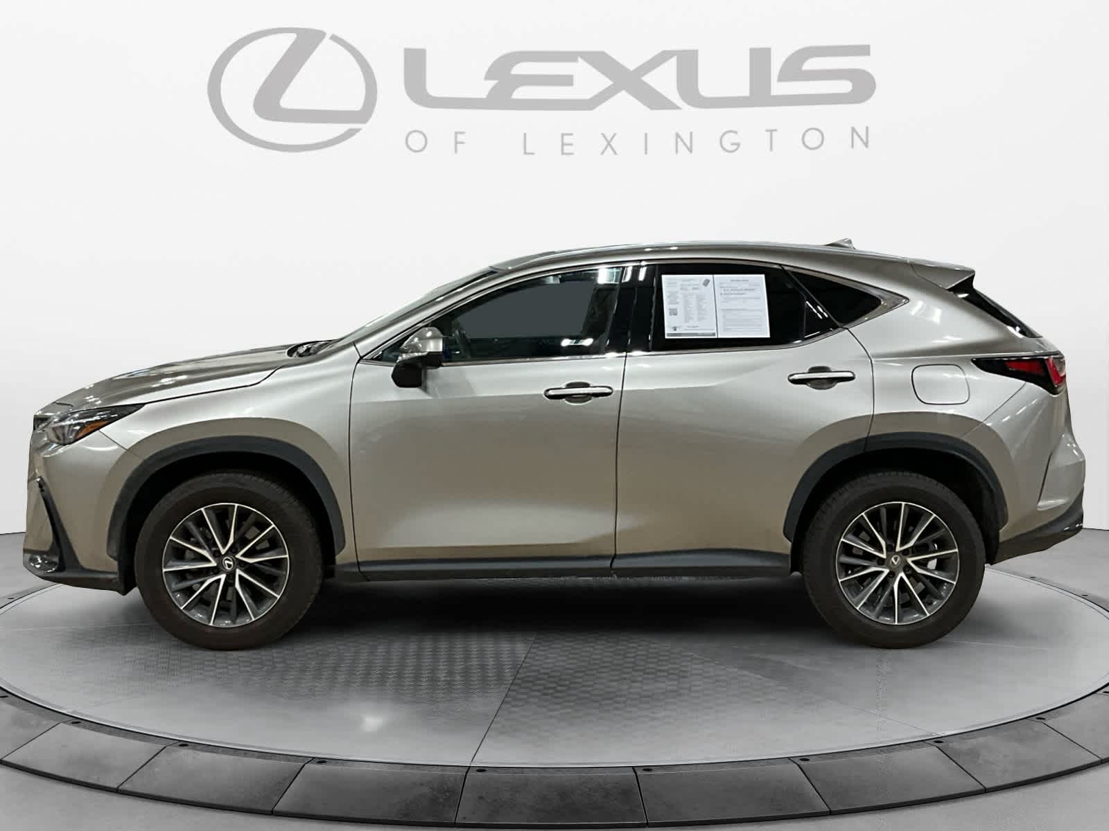 2025 Lexus NX 350 Premium