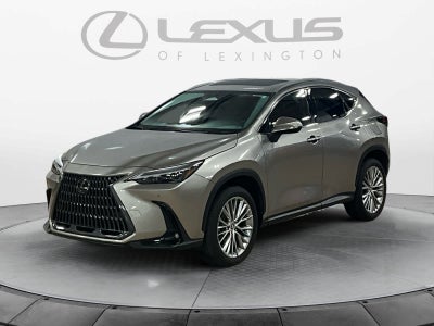 2025 Lexus NX 350 Premium