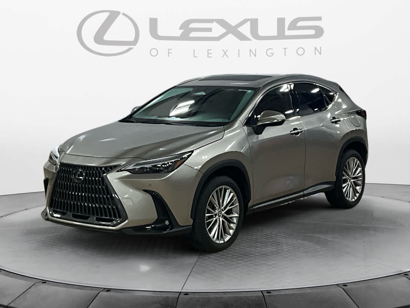 2025 Lexus NX 350 Premium