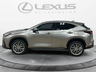 2025 Lexus NX 350 Premium
