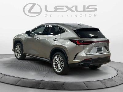 2025 Lexus NX 350 Premium