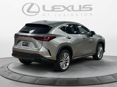 2025 Lexus NX 350 Premium