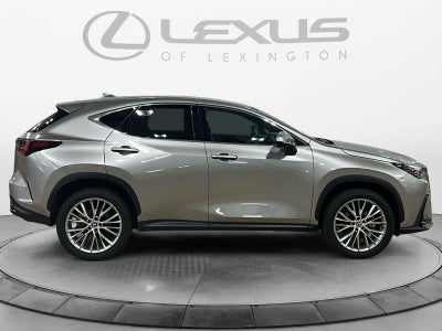 2025 Lexus NX 350 Premium