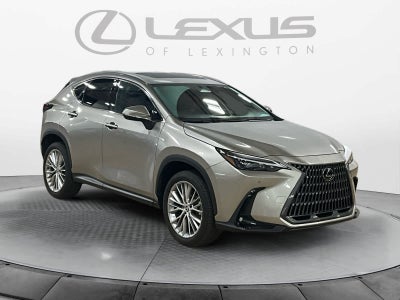 2025 Lexus NX 350 Premium