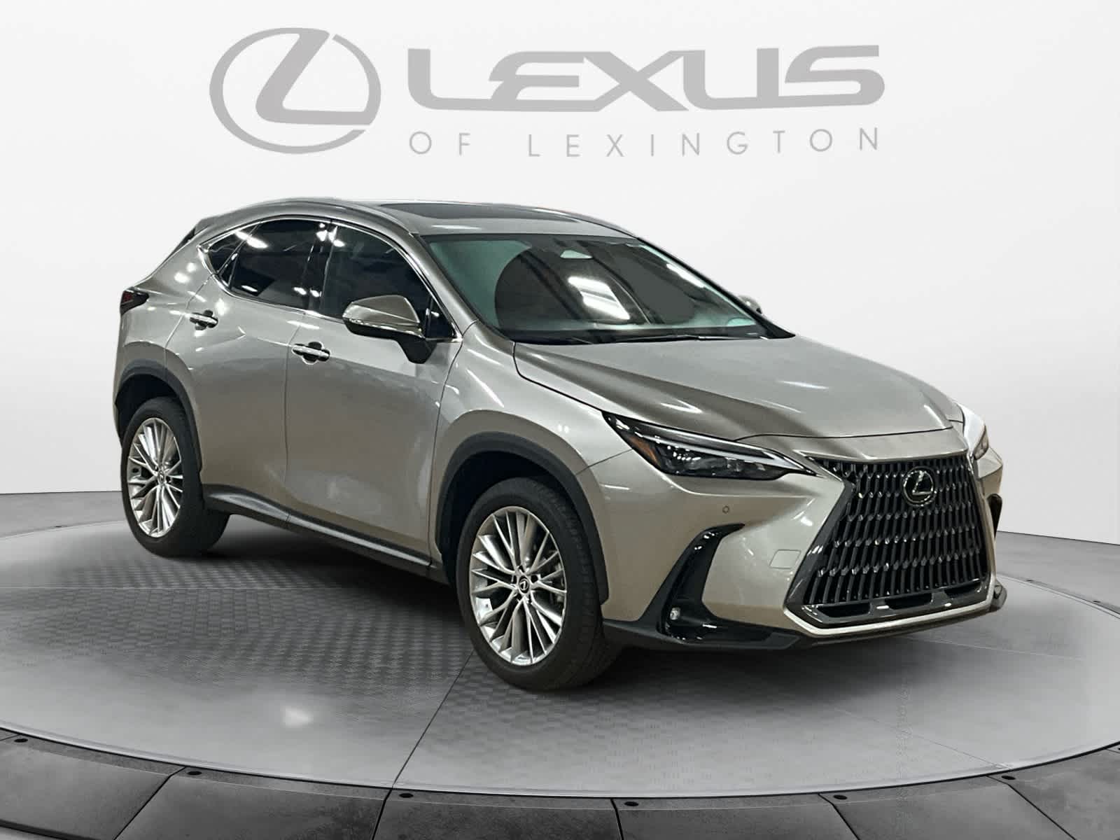 2025 Lexus NX 350 Premium