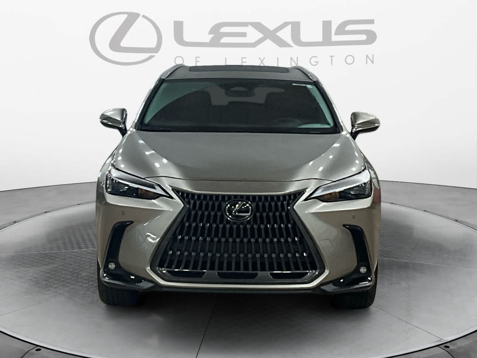 2025 Lexus NX 350 Premium
