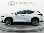 2026 Lexus NX 350 Premium