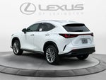 2026 Lexus NX 350 Premium