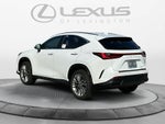 2026 Lexus NX 350 Premium