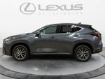 2024 Lexus NX Premium