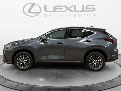 2024 Lexus NX Premium