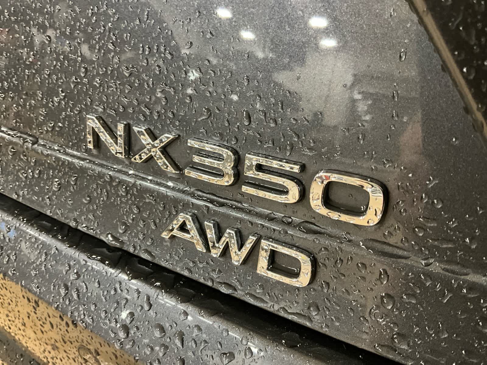 2024 Lexus NX Premium