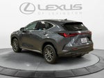 2024 Lexus NX Premium