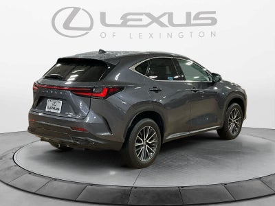 2024 Lexus NX Premium