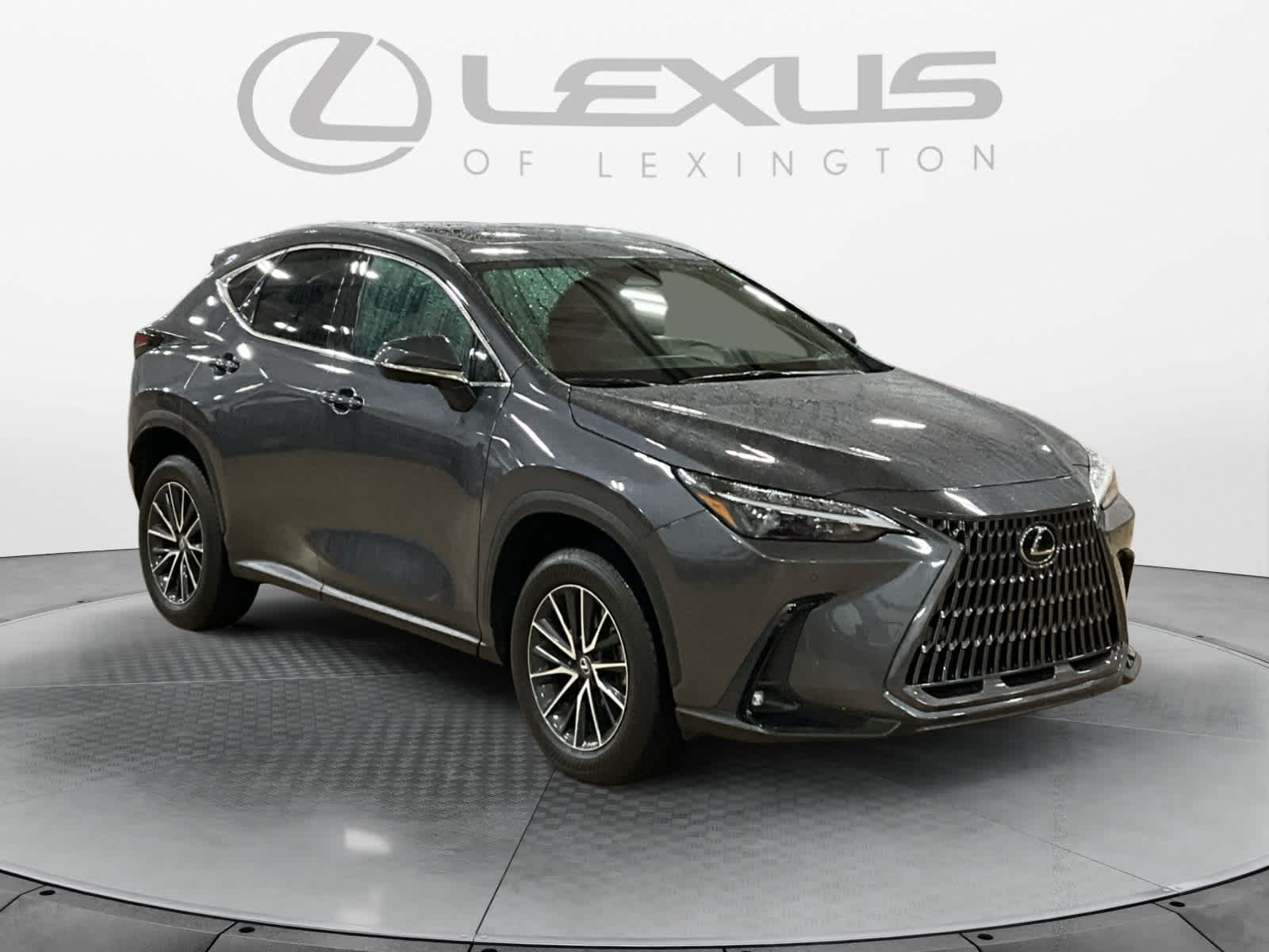 2024 Lexus NX Premium